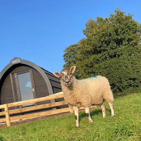 Campsite Cow Pasture Pod