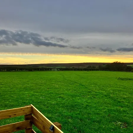 Cow Pasture Pod * Whitby