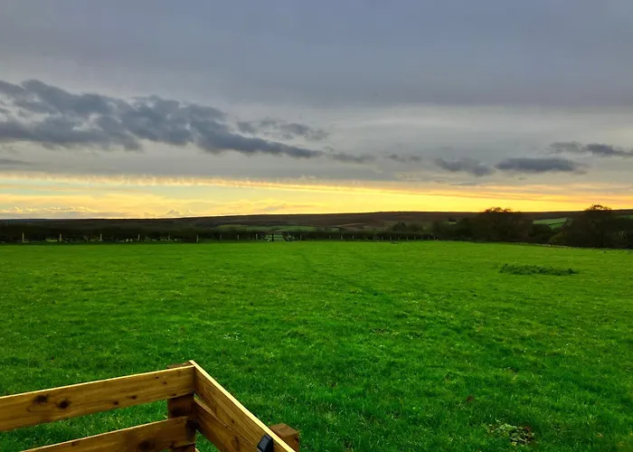 Cow Pasture Pod * Whitby