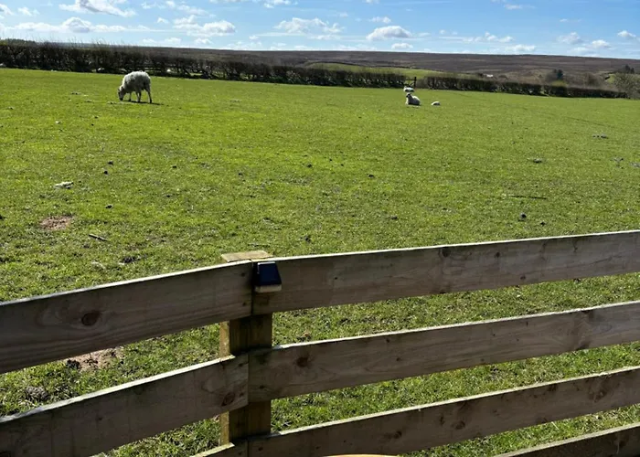 Cow Pasture Pod אתר קמפינג